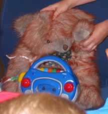 Teddybär